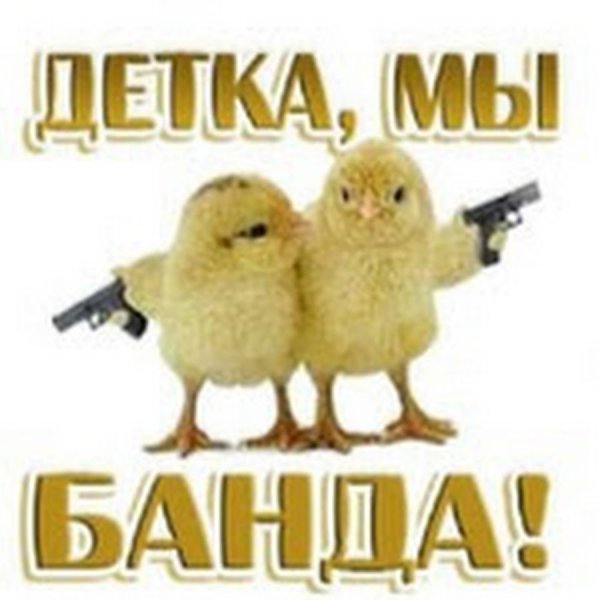 Мы банда