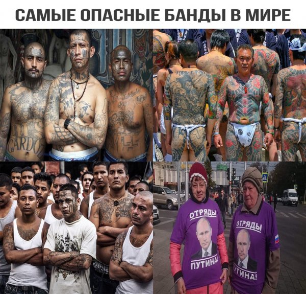 Самые опасные банды в мире Мем