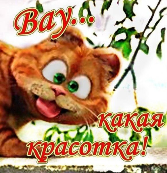 Красотка открытка
