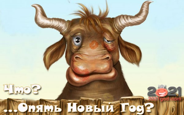Новогодний бык