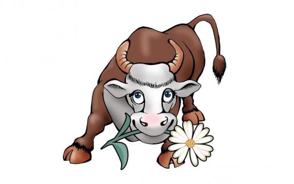 Корова 2021