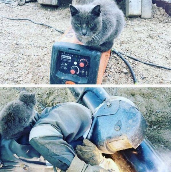 Сварщик приколы