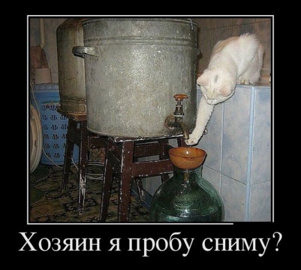 Самогонный аппарат прикол