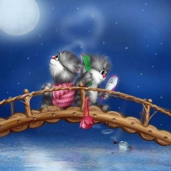 Коты Алексея Долотова спокойной ночи