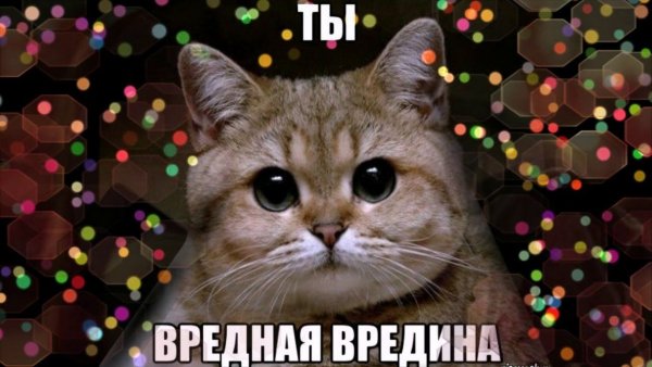 Вредина картинки прикольные