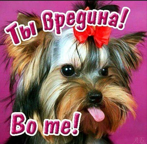 Ты вредина