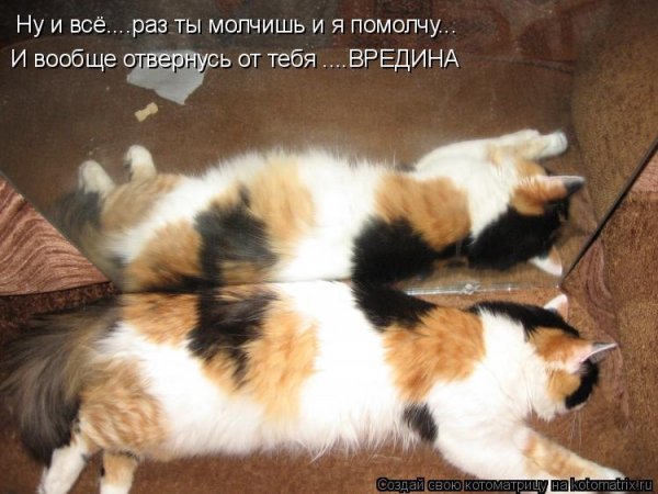 Смешной стих про вредину