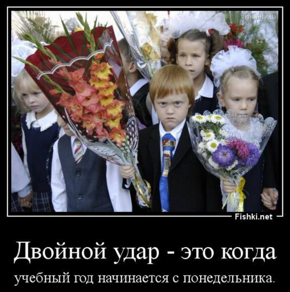 Демотиваторы про школу