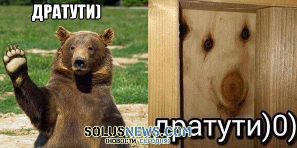 Дратути Мем