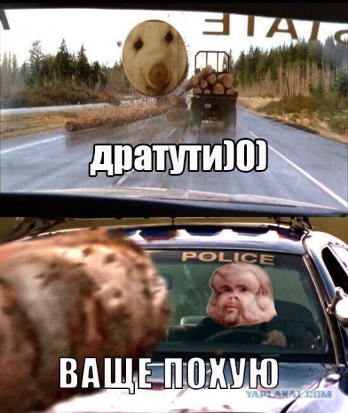 Дратути прикол