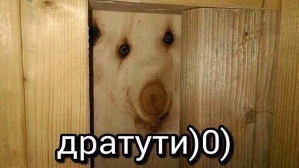 Дратути Мем оригинал