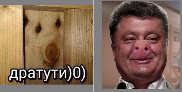 Фанера дратути