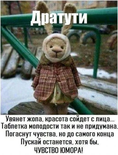 Дратути заяц в пальто с надписью
