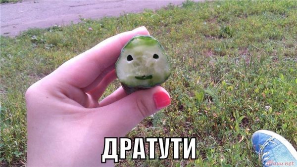 Открытки дратути прикольные