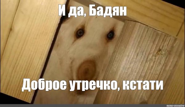 Открытка дратути