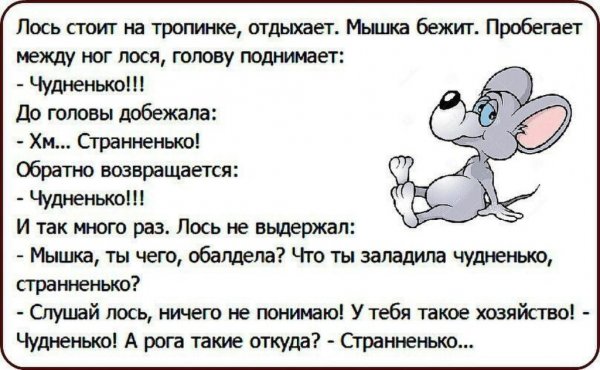 Смешные анекдоты в картинках с надписями