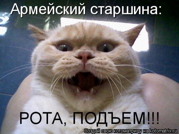 Подъем приколы