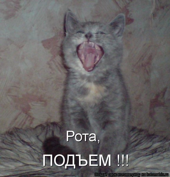 Подъем Мем