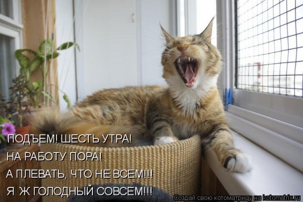 Хватит спать