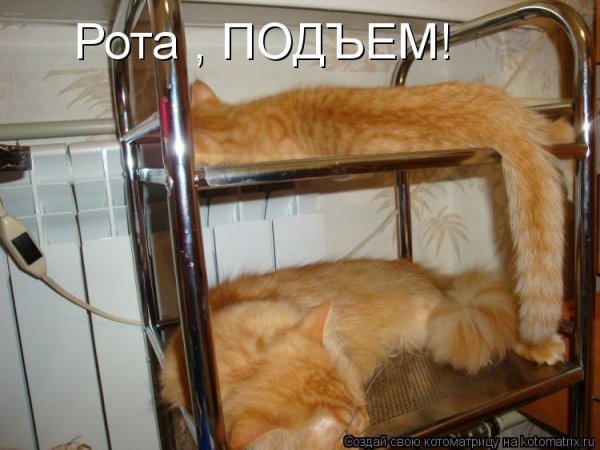 Рота подъем