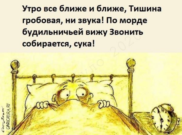 Смешной подъем утром