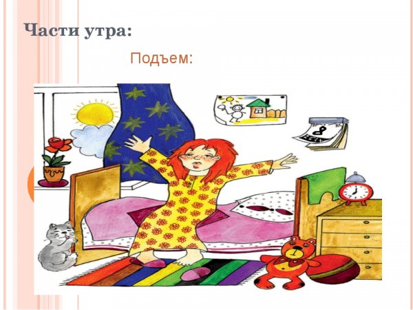 Котик утром проснулся