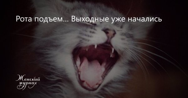 Воркаут демотиваторы