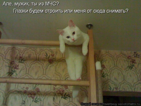 Доброе утро Страна