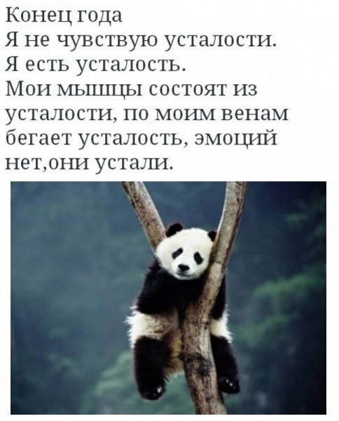 Фразы про усталость