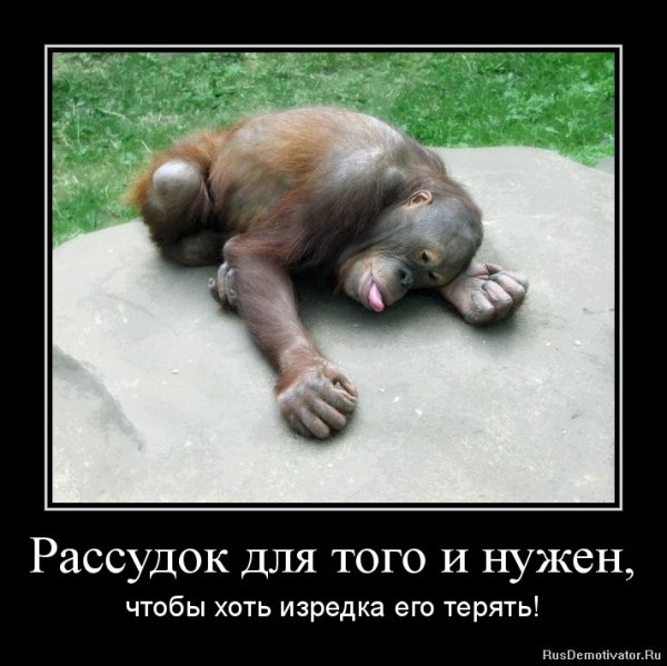 Обезьяна устала