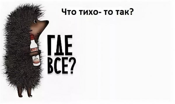 Че за тишина в группе