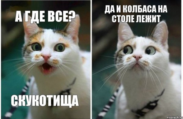 Где все картинки
