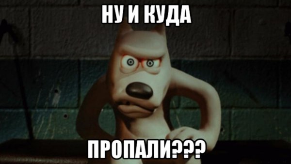 Куда все пропали