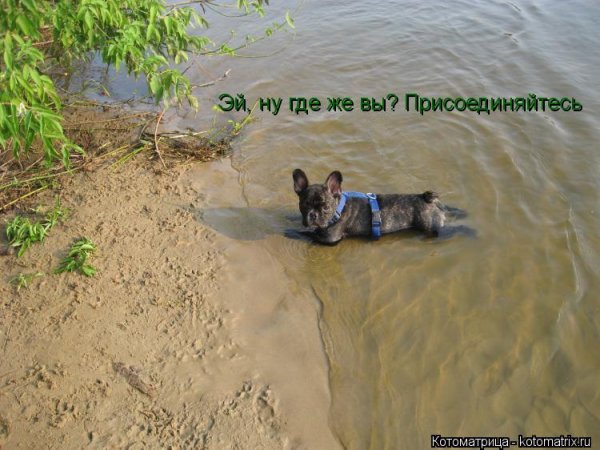 Куда все подевались фото