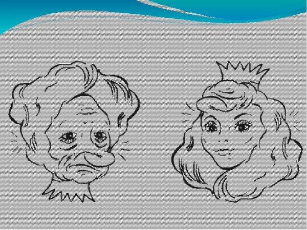 Рисунки перевертыши