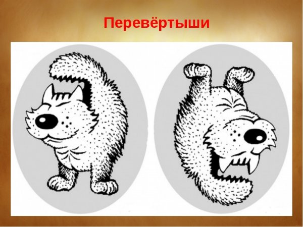 Рисунки перевертыши