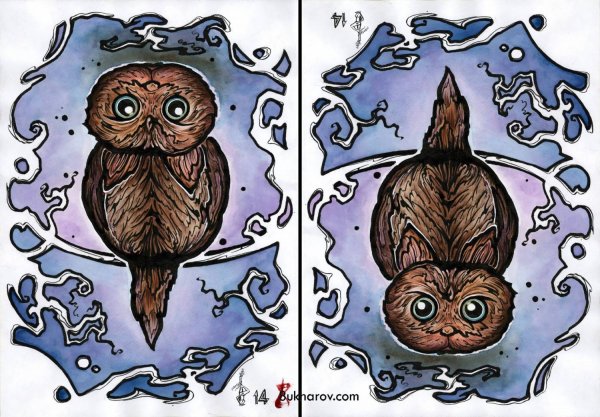 Перевернутый рисунок