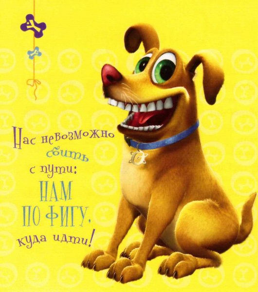 Улыбнись картинки прикольные