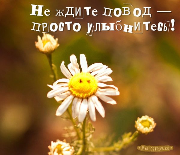 Фразы про улыбку и хорошее настроение