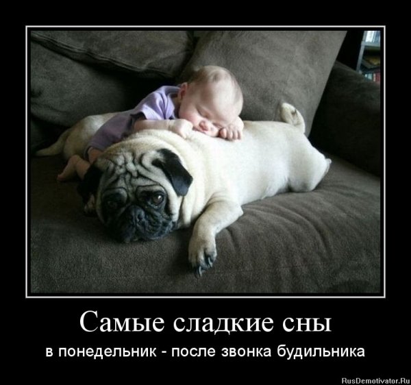 Приколы про сон