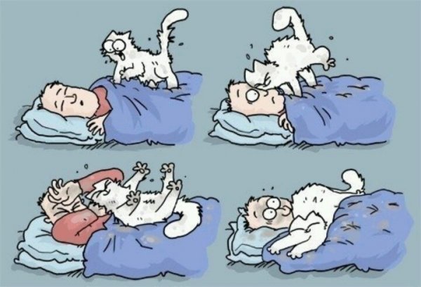 Приколы про сон