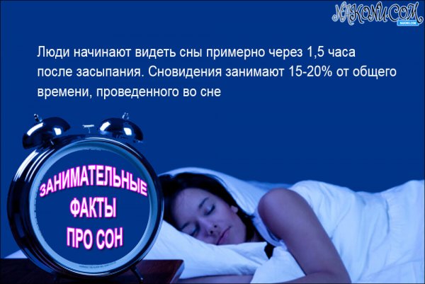 Цитаты про сон смешные