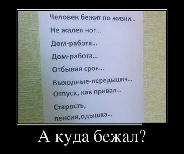 Приколы про жизнь