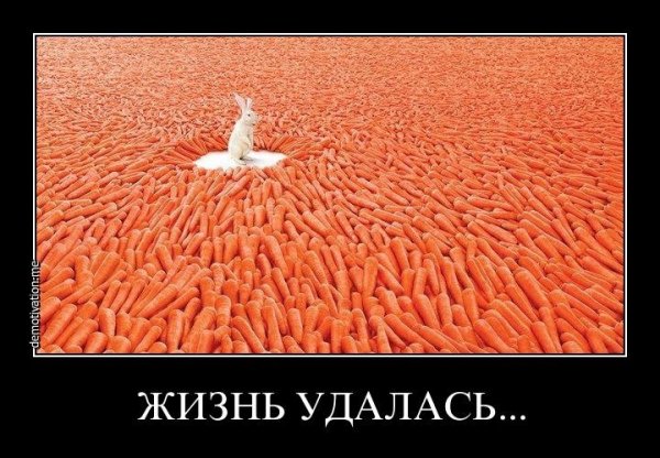 Жизнь удалась плакат