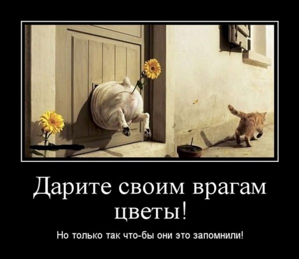 Юмор со смыслом