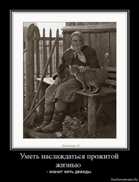 Добрые демотиваторы