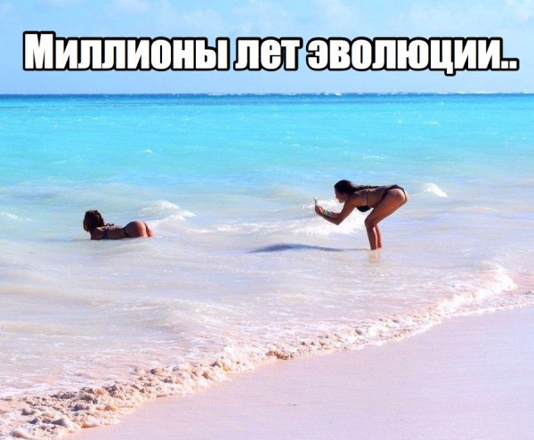 Приколы со смыслом