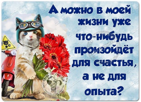 Слова со смыслом