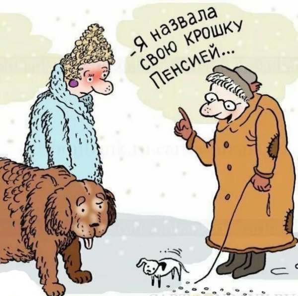 Пенсия карикатура