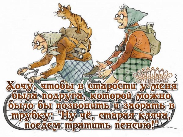 Анекдоты про пенсию в картинках